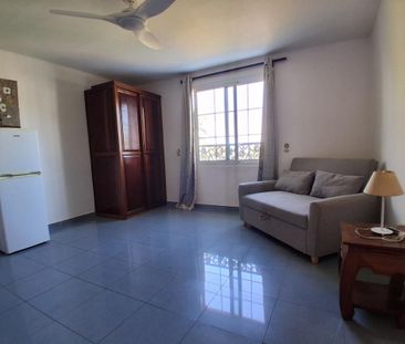 Location Appartement 1 pièce Meublé 25m² ST PIERRE 97410 - Photo 1