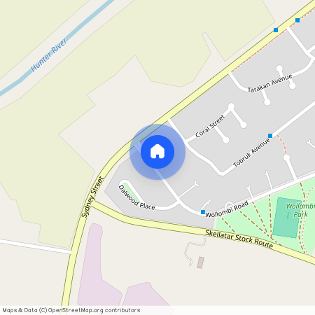 6 Wollombi Road, Muswellbrook, NSW 2333