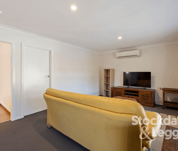 Peaceful Living with Character, Space and a Large Private Yard - Photo 5