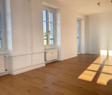 1 PIÈCES - Au calme ! - Photo 1