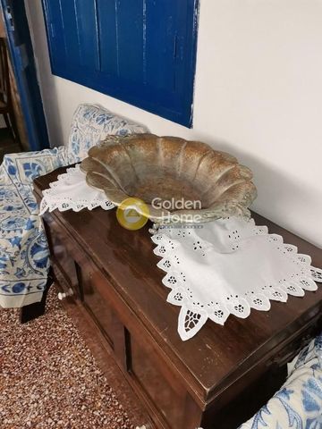 Μονοκατοικία για ενοικίαση Αγία Μαρίνα (Αίγινα) - Photo 2