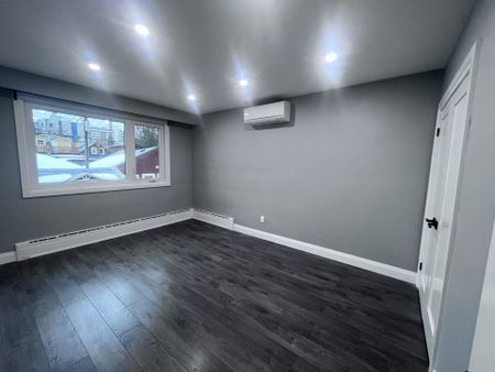 For Lease - 241 Wychwood Avenue Unit# Main Floor, Toronto, Ontario - Photo 2