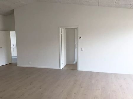 Moderne 2-værelses rækkehus til leje i Silkeborg - Photo 3