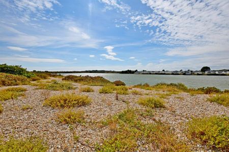 3 bedroom detached bungalow to rent - Photo 5