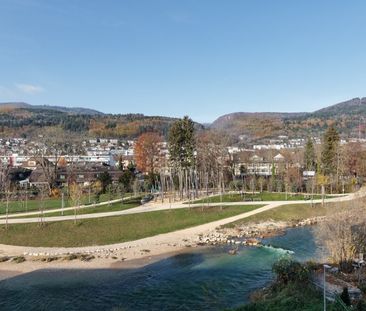 Leben neben der Schüssinsel - Vivre près de l'île de la Suze - Foto 5
