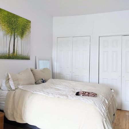 1 CH - 1 SDB - Montréal - $1,580 /mo - Photo 3