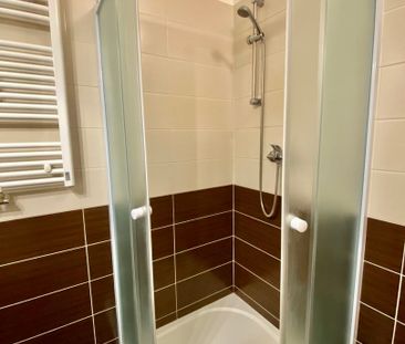 Pronájem bytu 1+1 v osobním vlastnictví 40 m², Praha 6 - Břevnov - Fotografie 5