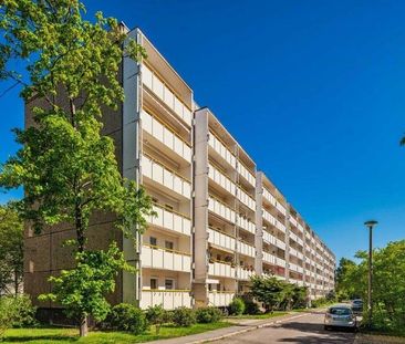 Hübsche 3 Zimmerwohnung mit Balkon steht zum sofortigen Einzug bereit! - Foto 1