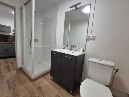 Location Appartement 1 pièce 23m² MACON 71000 - Photo 4