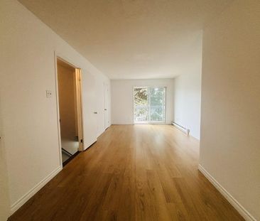 Appartement 4 ½ à louer Lévis juillet 2026 - Photo 3