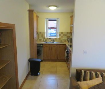 Apartment 1 67a Steps Road, Magheralin, BT66 7NZ - Photo 5