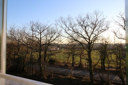 Location Appartement 3 pièces 65m² ST HERBLAIN 44800 - Photo 5
