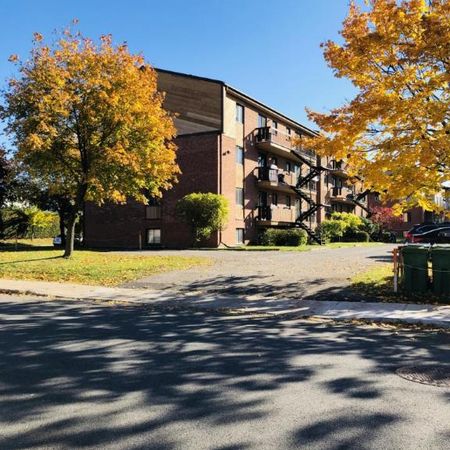 4 1/2 - Montréal (Pointe-Aux-Trembles) - 1 539 $/mois - Photo 3