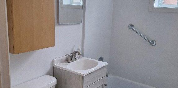 4.5 Ss-sol 3plex 2 Chambres (13×10 +8×8) Libre 27 oct Magnifique 4.5 au rez de jardin rénové, dans 3plex au coeur du Vieux-Longueuil, Hauts Pl - Photo 2