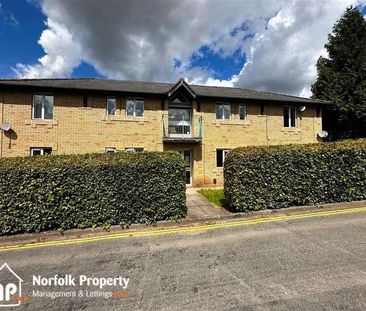 Thorpe Hamlet, NR1 - Photo 1