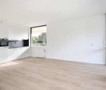 Douvenrade 2A - Photo 4