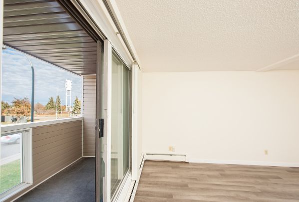 Daly Grove - Photo 1