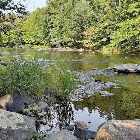 Apppartement à louer 5 1/2 Bromont - Photo 4