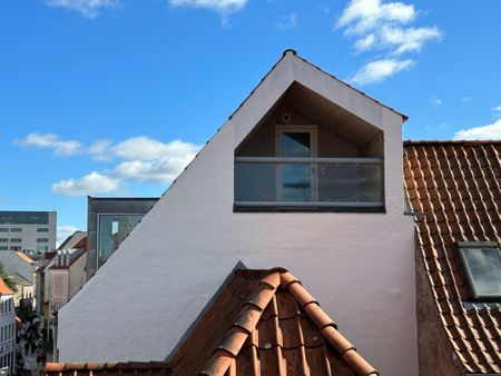 Smuk lys lejlighed i hjertet af Aalborg - Foto 2