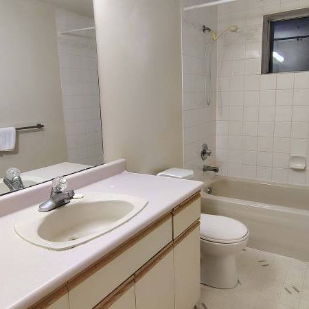 Furnished studio basement suite with private access and utilities incl - Photo 4