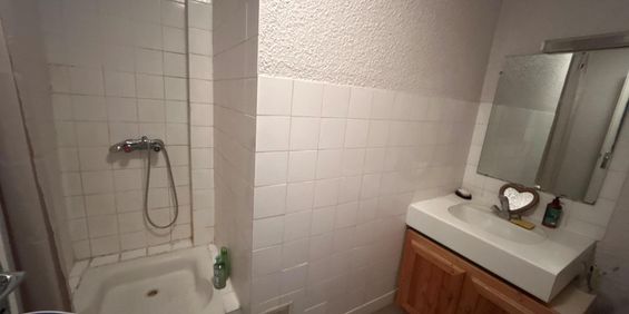 Location Appartement 2 pièces 49m² CHAMALIERES 63400 - Photo 3