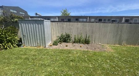 Live Near Tahunanui Beach – 1-Bedroom Unit - Photo 5