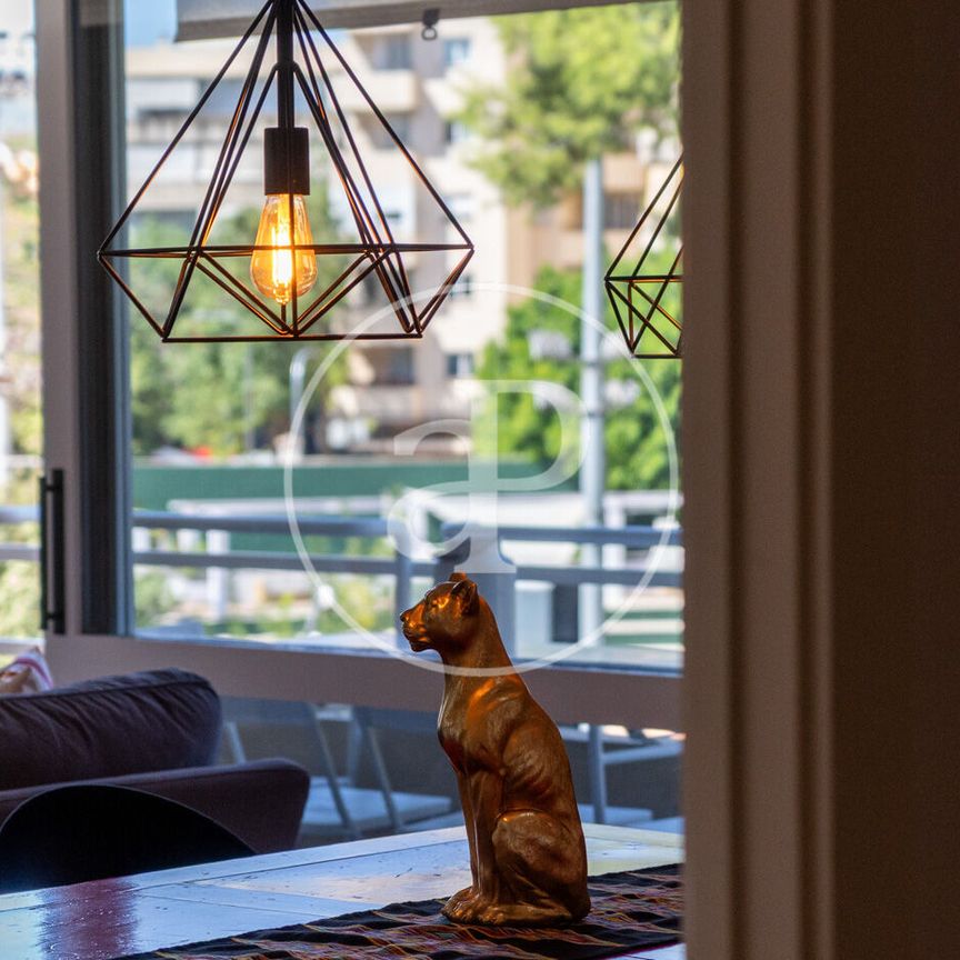 Apartment for rent in Santa Catalina - Photo 1