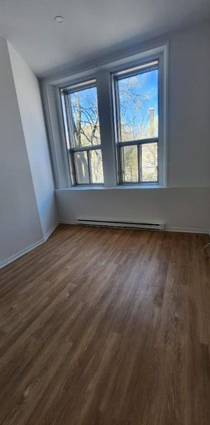 1 CH - 1 SDB - Montréal - $1,195 /mo - Photo 1
