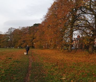 1 bedroom to let - Photo 6