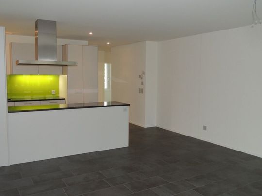 Paar oder Singlewohnung mit grossem Sitzplatz - Foto 1