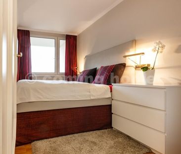 Modern Single Living - Photo 4