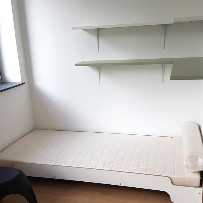 Nur für Studierende! Cool möbliertes & modernes 1 Zimmer-Apartment im Herzen von Gießen, Seltersweg 24 - Photo 1