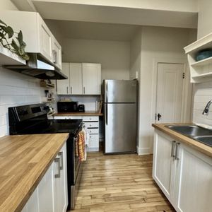 1221 Rue Rachel Est, Montreal, QC, Canada 1221 Rachel East - Photo 2