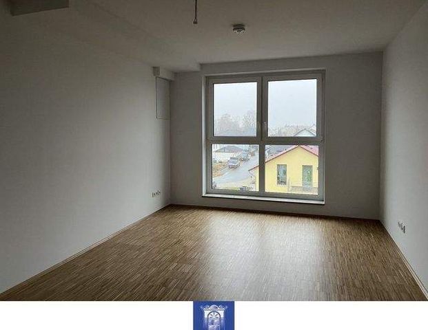 Perfekte Dachwohnung im Neubau! EBK, Lift und Erstbezug! - Photo 1