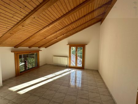 LARGE APARTMENT IMMERSED IN GREEN - Photo 4