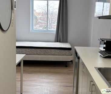 1024, rue sherbrooke, Le Plateau-Mont-Royal à louer - Photo 4