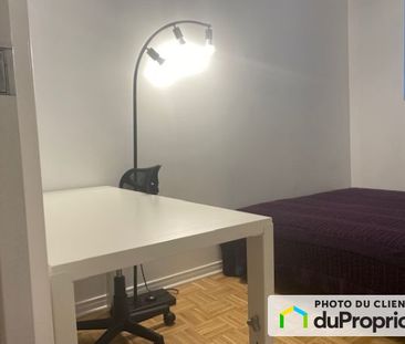 4455, rue St-Urbain, Le Plateau-Mont-Royal à louer - Photo 5