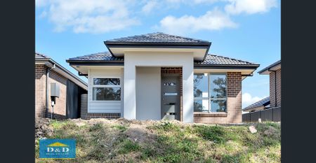 Modern & Fresh Four Bedroom Family Home. Double Garage. Large Backyard. Two Living Areas. Two Bathrooms. - Photo 4