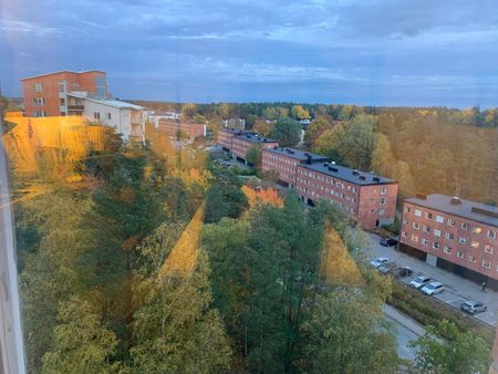 Drevkarlsstigen, Sollentuna - Photo 4