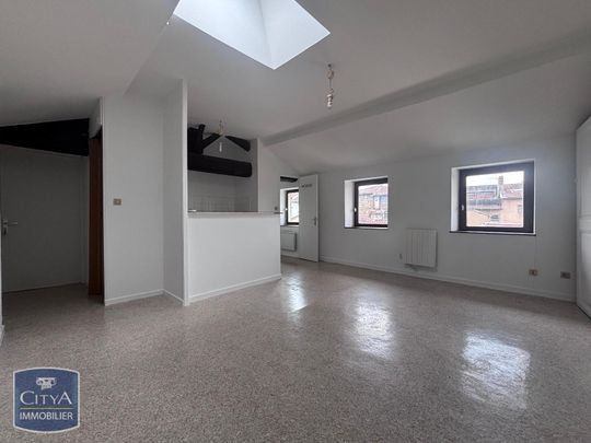 Location Appartement 1 pièce 26m² NEUVILLE SUR SAONE 69250 - Photo 1