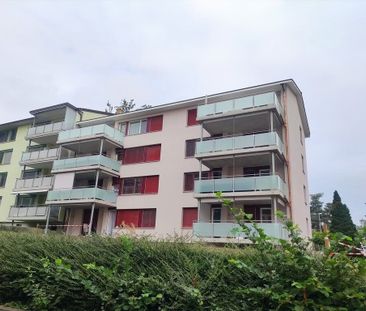 Apartment is looking for a single person - Photo 4