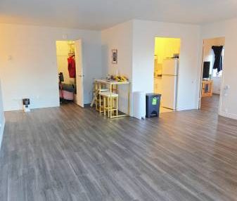 Big Downtown 1 bedroom 3 1/2 (All included) - Lease transfer - Photo 1