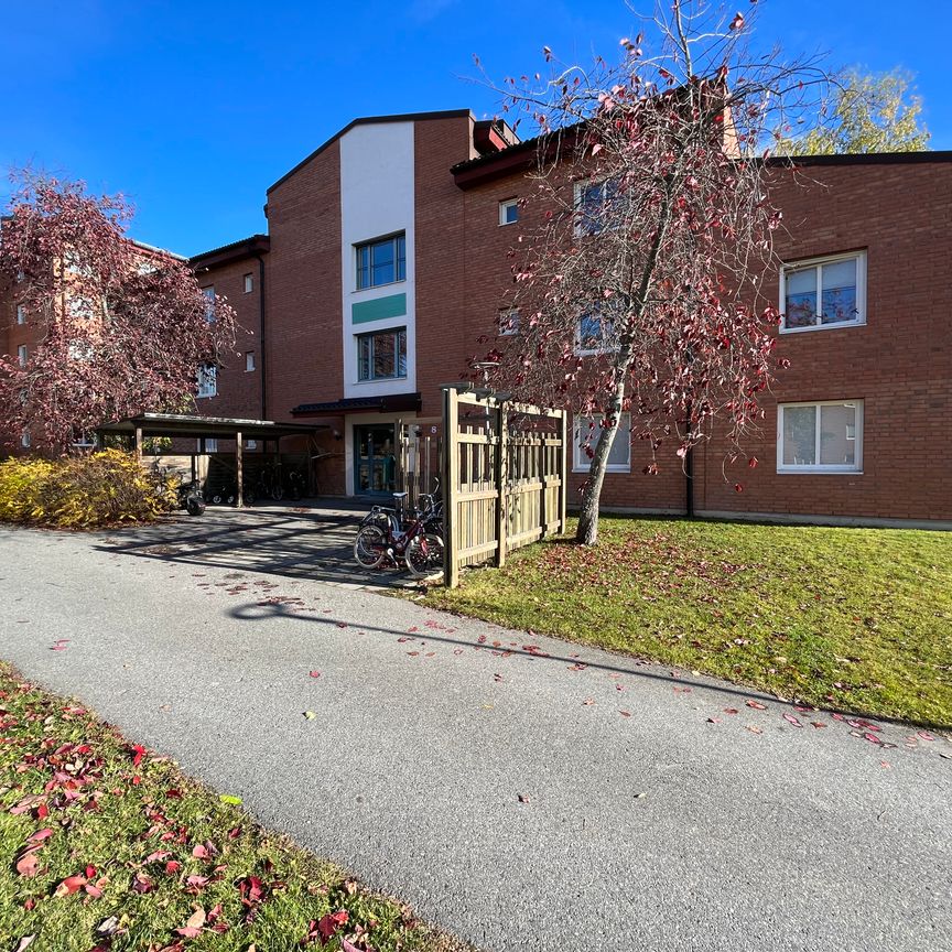 Stackgatan, Skellefteå - Photo 2