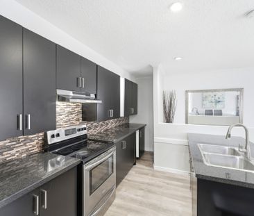 For Lease - 56 Charing Cross Street Unit# MAIN & BSMT, Brantford, O... - Photo 3