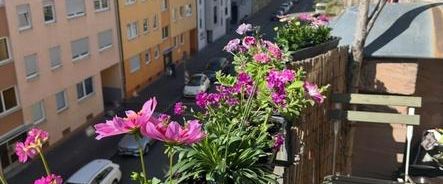 Geräumige 3-Zimmer-Wohnung, zentrumsnah, 2 Balkone - Foto 1