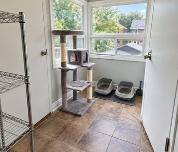 For Lease - 84 Runnymede Road Unit# Upper, Toronto, Ontario - Photo 1