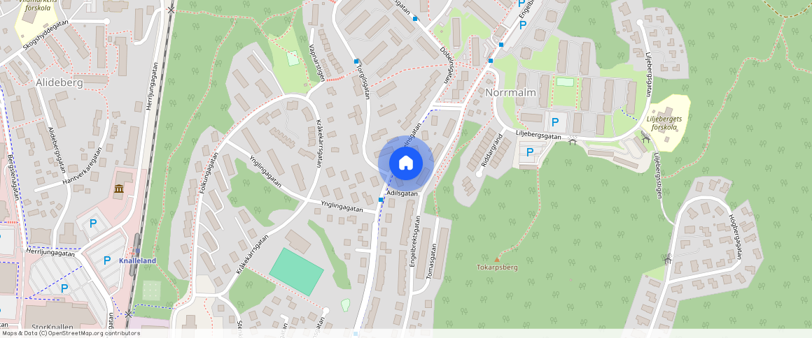 Borås, Döbelnsgatan, **, 50638