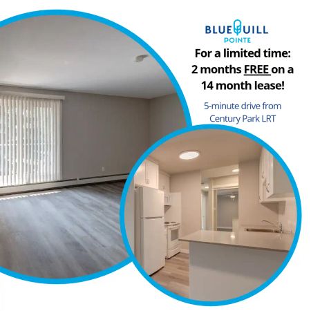 Blue Quill Pointe — 2-Bedroom Updated - Photo 4