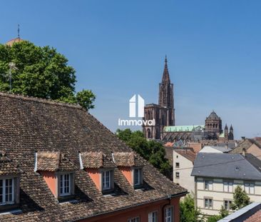 Location Appartement 2 pièces Meublé 47m² STRASBOURG 67000 - Photo 5