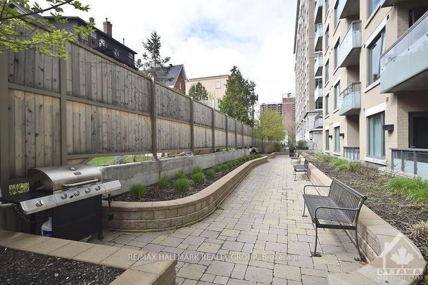 For Lease - 238 Besserer Street Unit# 207, Lower Town - Sandy Hill, Ontario - Photo 1